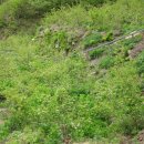 고지농장 이미지