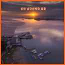 암태 | 전남 신안 암태 남강선착장 황홀한 일출