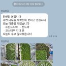 환영농장 이미지