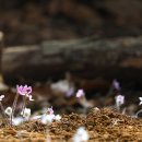 강동-길동-2770 이미지