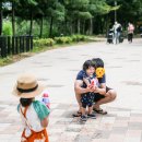 구갈레스피아 이미지