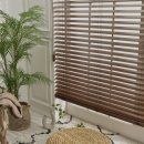 아라크네 이미지