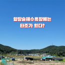 앞장술 해수욕장