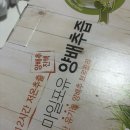 스마일포유 양배추즙 후기 아빠도 맛있다 한 유기농 양배추즙 양배추즙효능