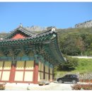 서제봉 네이버블로그