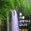 흔들리지 않고 가는 사랑이 어디 있으랴! 이미지