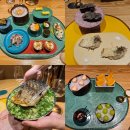 16도 | 흑백요리사 4평 외톨이 독도16도 후기