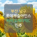용산초등학교 | [부산탄성코트] 남구 용호동 오륙도 롯데캐슬아인스 베란다 바이오세라믹 진주색상 시공후기