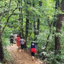 솔바람사이길 이미지