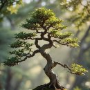 기초 일본어 회화 이미지