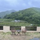 보느몽뜨 | 청도 애견동반 독채 풀빌라 보느몽뜨