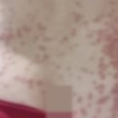 모텔 하니 이미지