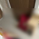 정언댁 | 꼭 한 번 해보고 싶었단 말이야