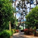 너른공원 게이트볼장 이미지