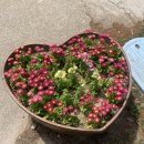 재엽이네반찬 | 근황잼