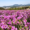 칠선마을회관 | 함양, 남원여행 3일차 후기입니다