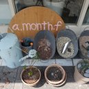 어먼스 플라워(a.month.flower)