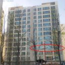 서울숭인초등학교 이미지