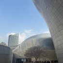 유룸 | [쿠에른 바자 2026] 당일 아침 예매권 줍줍 후 발레리나14 등 구매 후기