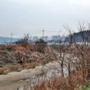 본성리미륵불 이미지