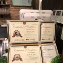 시즌파이브 이미지