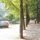 주식회사 남이섬 이미지