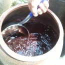 준영이네농장 Daum카페