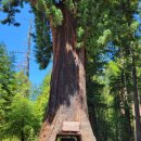 엄마라는 이름 / 김수진 이미지