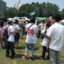 브레인스카우트 이미지