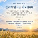 [오늘의 묵상칼럼] 2026.10.16(금) 오늘의 말씀카드, 365묵상글, 예산수정교회 이미지