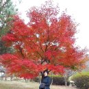 박제상기념관 이미지