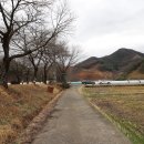 반월들길 이미지