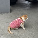 강화도 여행 가볼만한 곳 화개정원 식당 모노레일 부모님 여행 코스
