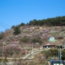 매화노래연습장 네이버블로그