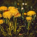 자비손한의원 이미지