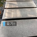 하은마켓 - 양천구 | [경기 광주 카페] 아이랑 가기 좋은 예쁜 키즈존 대형 베이커리 카페 '투힐스' 내돈내산 솔직후기