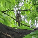 연천 숭의전지 이미지