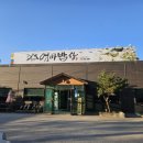 고현제2세천 | 세천맛집 풍성한 한식 엄마밥상 입맛 사로잡는 제철 생굴과 솥밥의 유혹