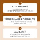 추동 | 제주 추동고등어 14+7팩 공동구매/15박스 한정 (feat.갈치조림세트)