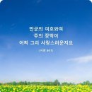다니엘 4장: 왕이 삶으로 경험한 위대한 신앙고백 이미지