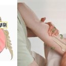 피트니스 더 클럽 이미지