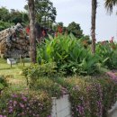 일영나들이 이미지