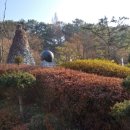 뿌리공원 둘레길 이미지