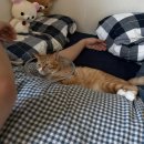 탑 노래연습장 | 그리고 어쩌다 5월