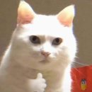 미인(美:인) 이미지