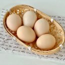 예지농장 이미지