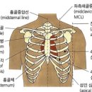 도파눈썹 | NICU study 3_신생아사정(1)