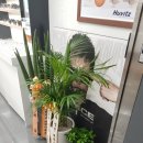 으뜸50안경 잠실새내점 이미지