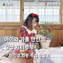 정보농장 | 일산 칵티부부｜두 번 방문한 후기와 선인장 체험·농장 방문권 이용정보