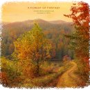 [11. 2 일요걷기] 가을의 마지막 향연, 춘천 채종원 고도트미 이깔나무숲의 바다로~~ 이미지